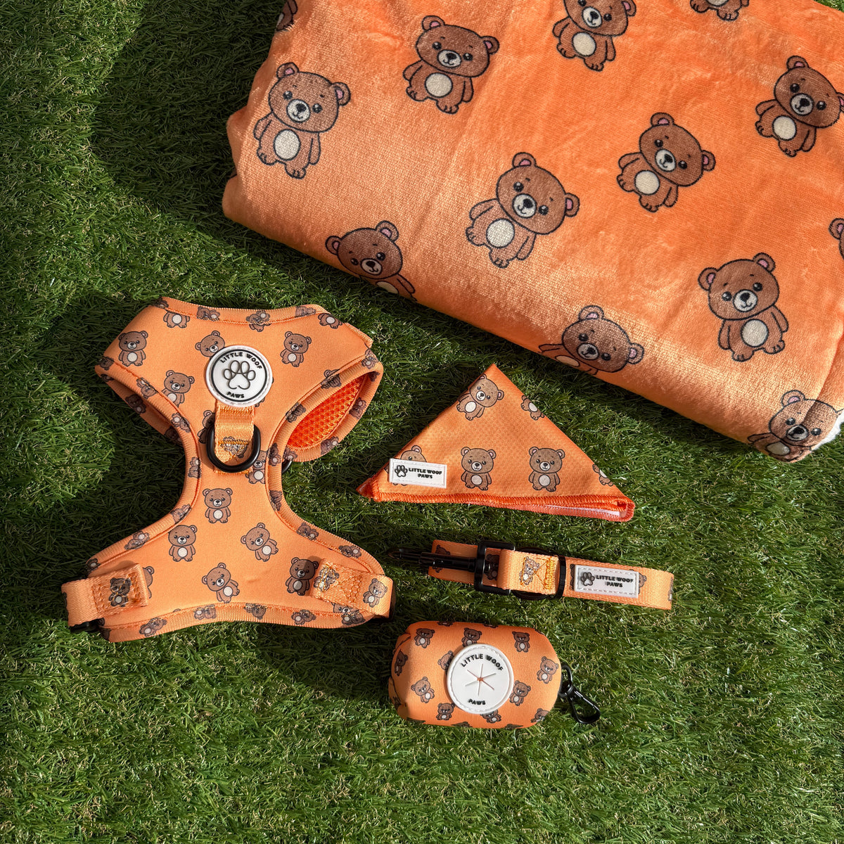 Bark & Bear