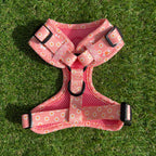 Pink dog harness with flowers - Dazzling Daisy