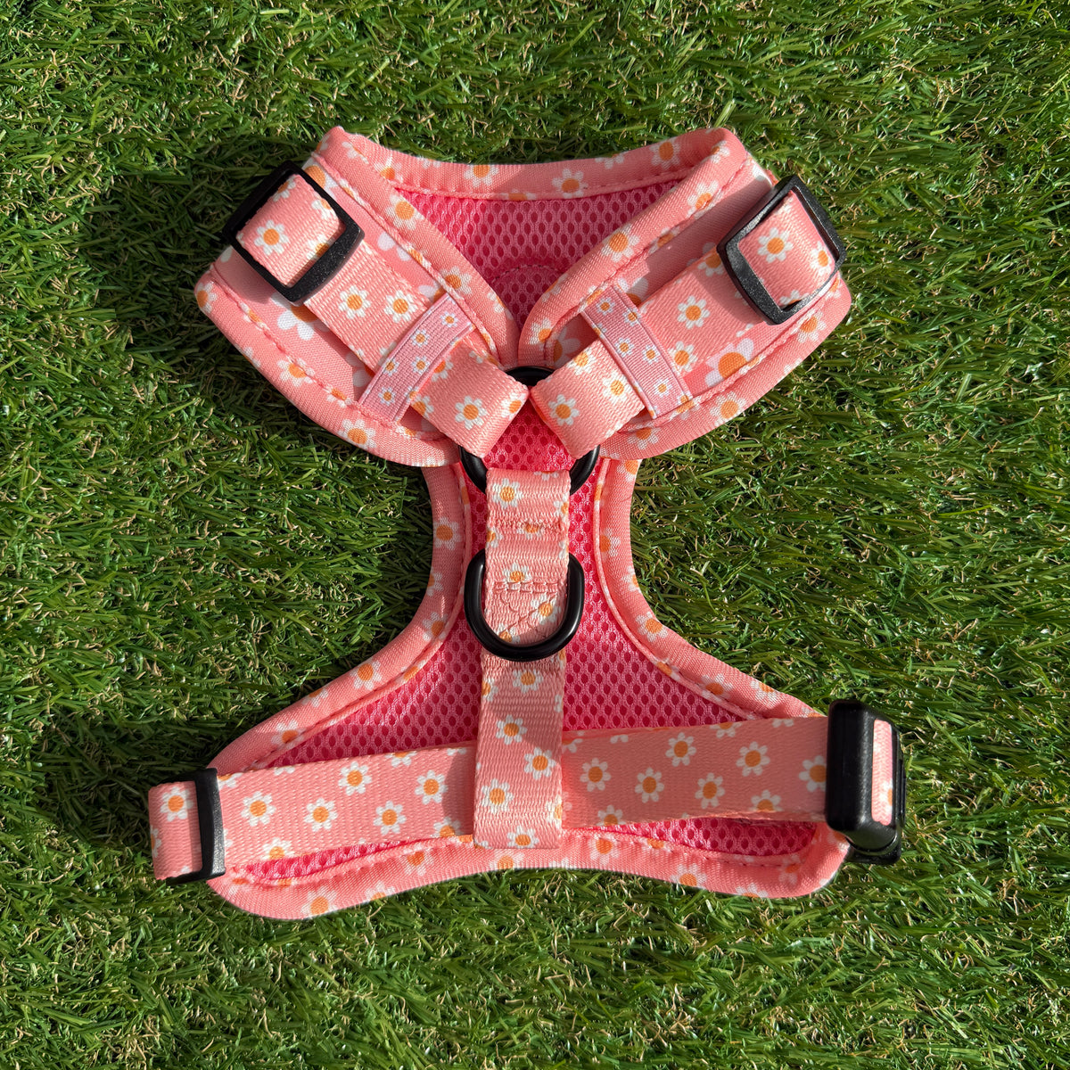 Pink dog harness with flowers - Dazzling Daisy