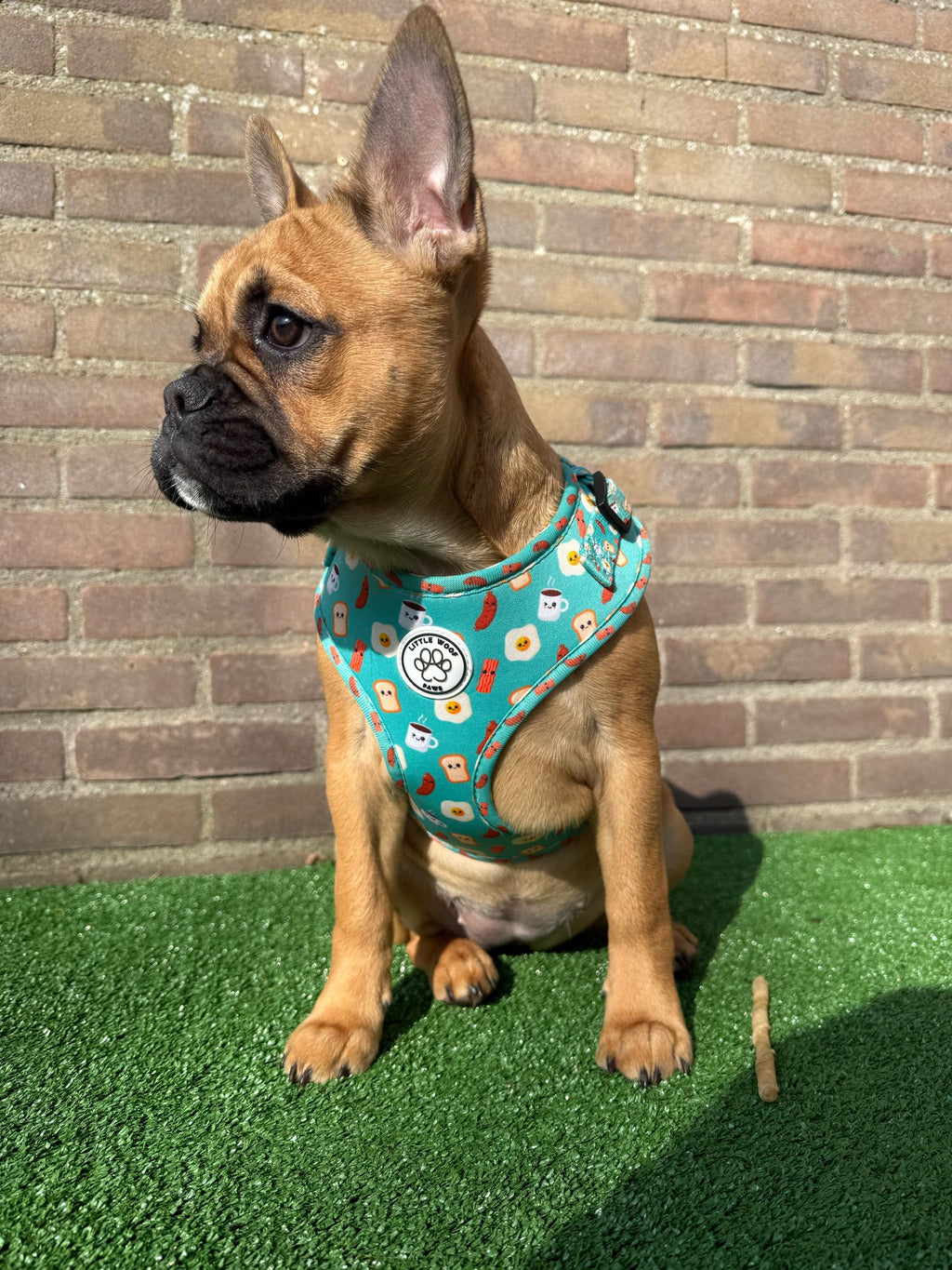 Blue/green dog harness with breakfast figures - Happy Breakfast