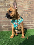 Blue/green dog harness with breakfast figures - Happy Breakfast