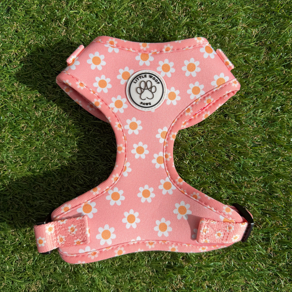 Pink dog harness with flowers - Dazzling Daisy