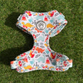 Dinosaur Dog Harness - Roar!
