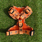Hondentuigje oranje met beertjes - Bark & Bear