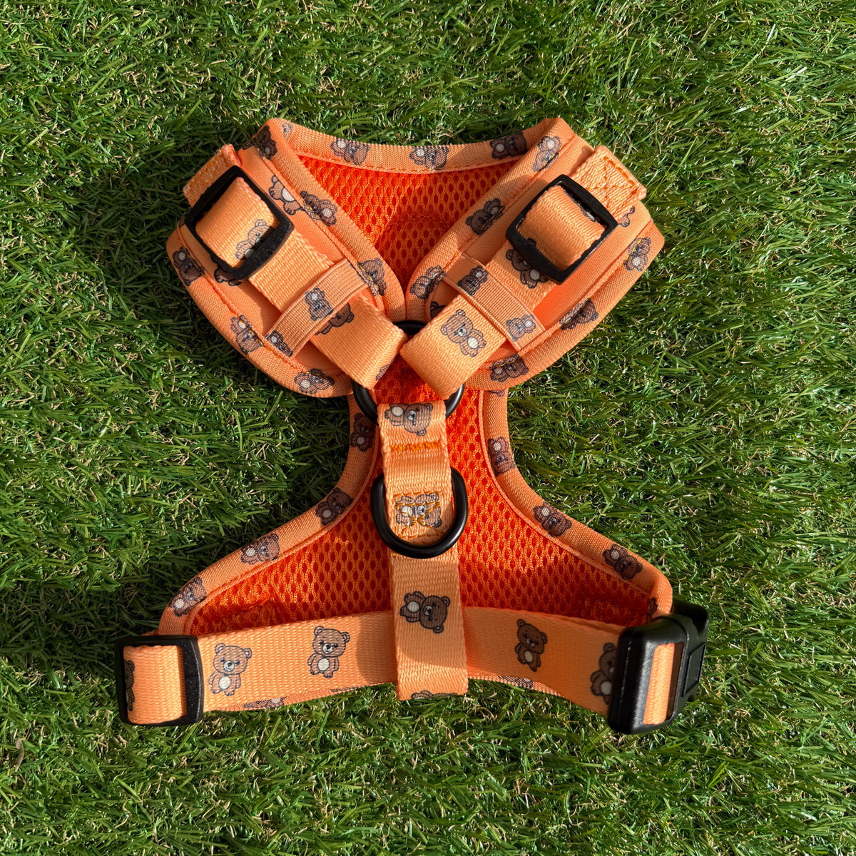 Little Woof Paws - harness Bark & Bear