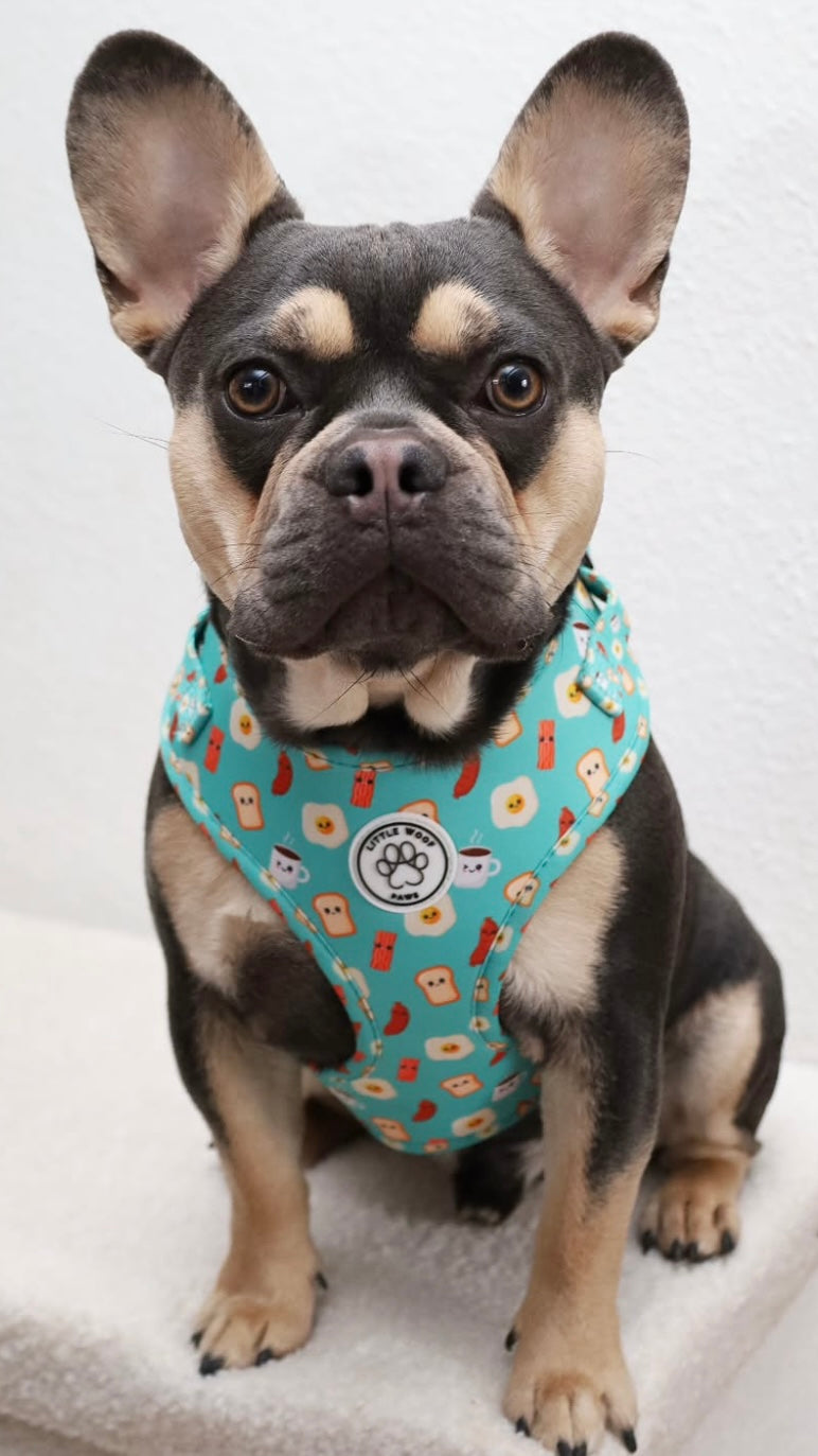 Blue/green dog harness with breakfast figures - Happy Breakfast