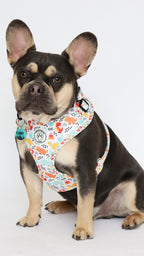 Dinosaur Dog Harness - Roar!