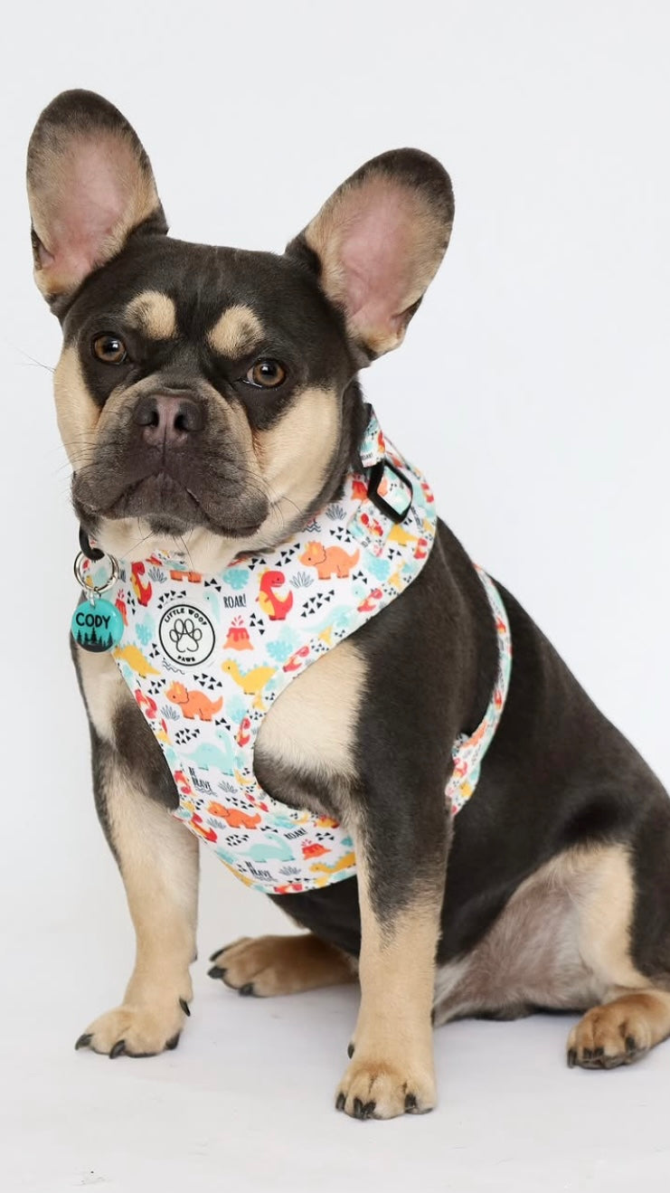 Dinosaur Dog Harness - Roar!