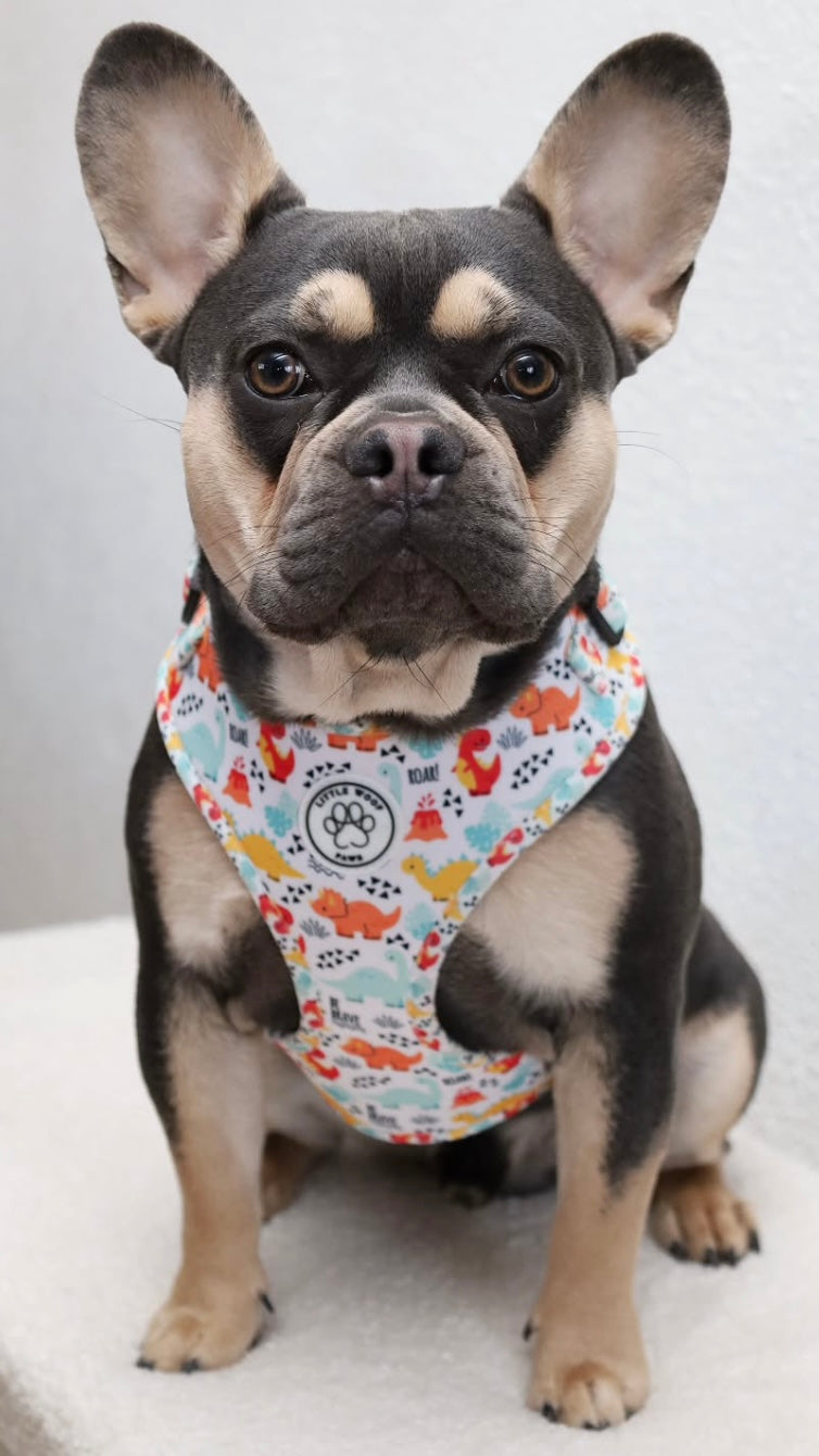 Dinosaur Dog Harness - Roar!