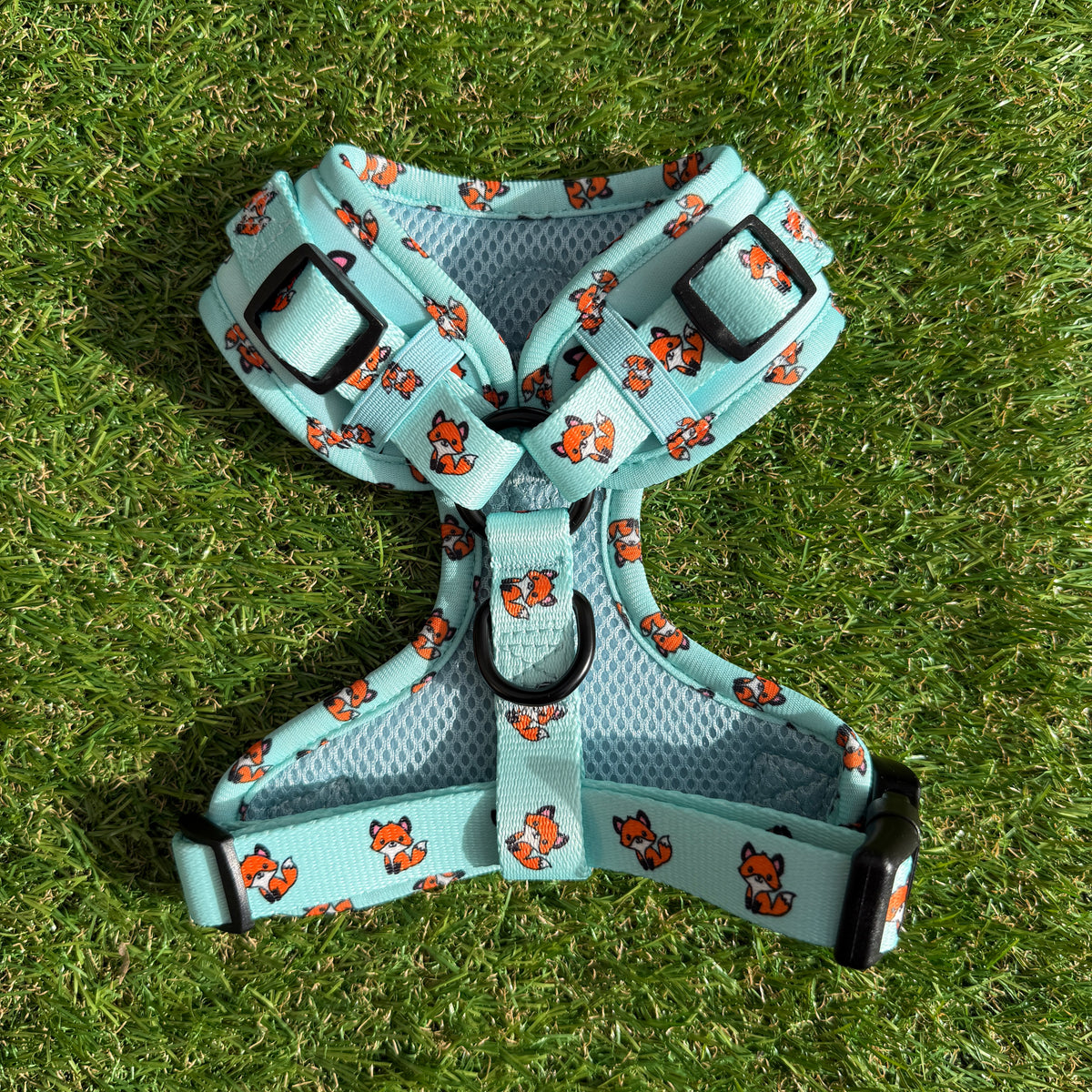 Little Woof Paws - Fur & Fox harness