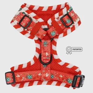 Dog harness - Hot Cocoa Club - Sassy Woof