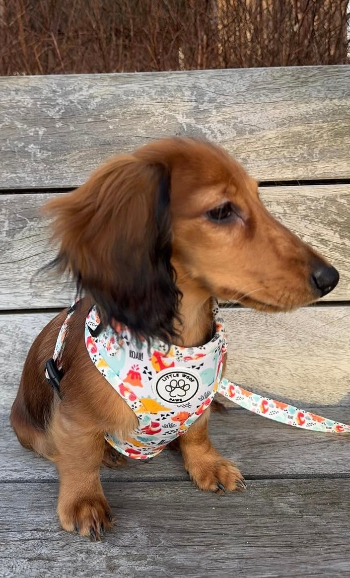 Dinosaur Dog Harness - Roar!